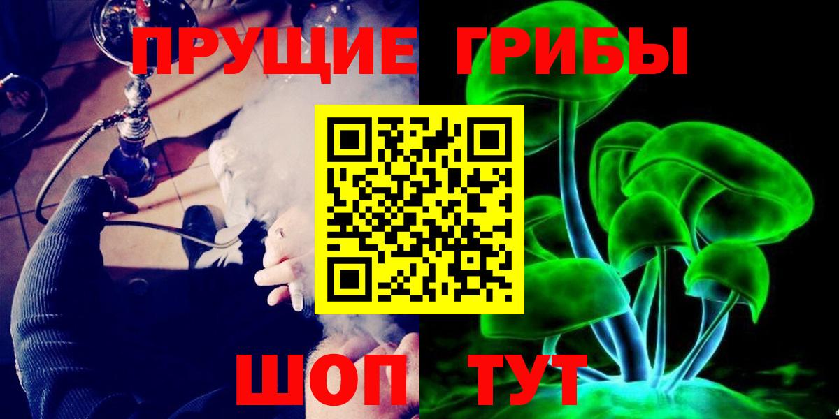 Галлюциногенные грибы Psilocybine cubensis Нерюнгри